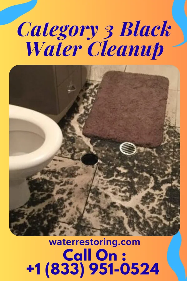 Category 3 Black Water Cleanup in Bromide, OK