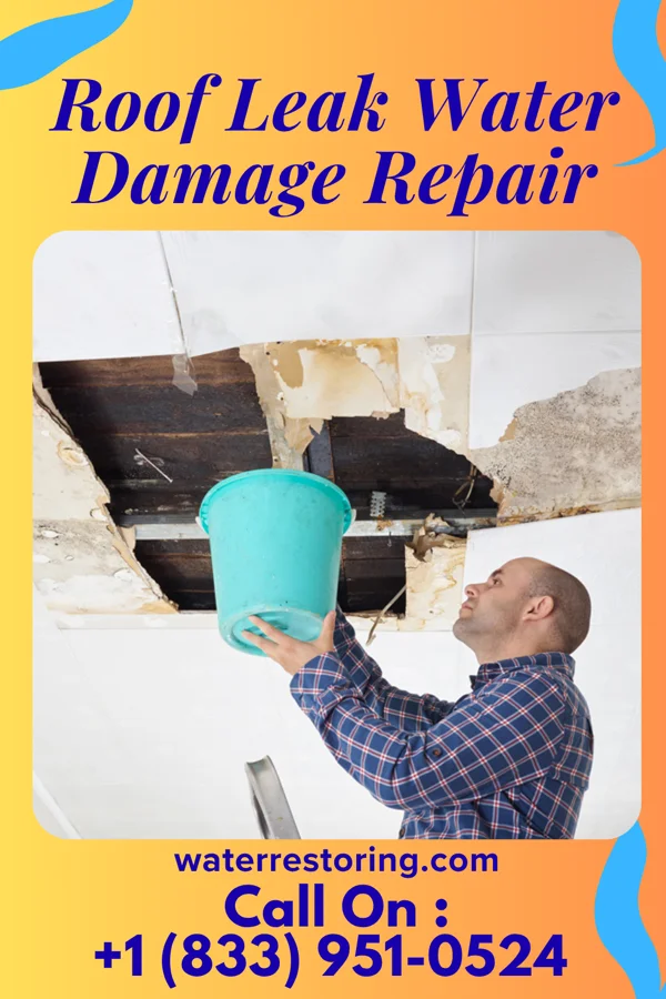 Roof Leak Water Damage Repair in Bromide, OK